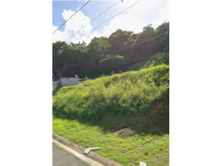 Terreno En Palacios Del Lago, Bayam�n