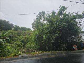 Terreno 600 metros en Cayey 