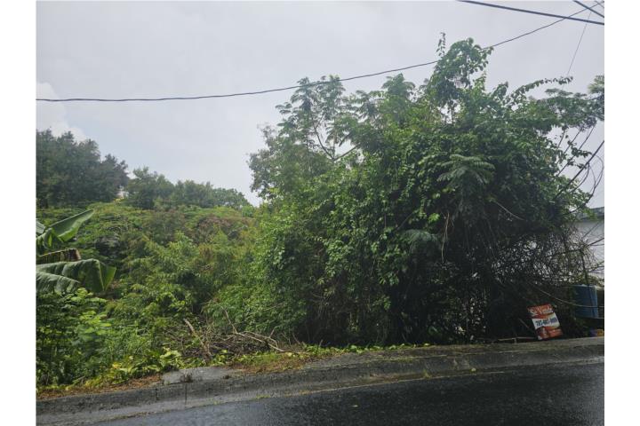 Terreno 600 metros en Cayey