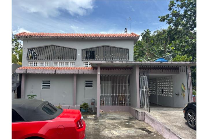 Panaini Puerto Rico Vega Baja