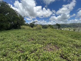 PRECIOSA FINCA EN BO PASTO AIBONITO