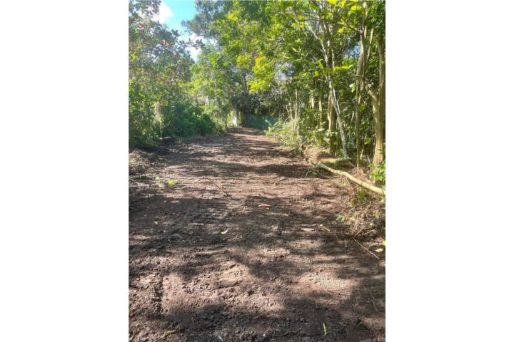 Terreno en Venta – Trujillo Alto, Barrio Dos Bocas Oportunidad única de adquirir 6 cuerdas aprox.