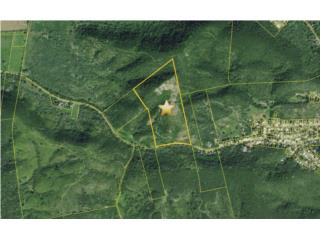 29.14 Acres with Scenic views