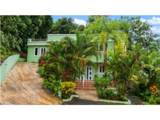 Stunning Multi-Unit Property with Ocean Views