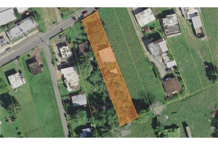 Yeguada Puerto Rico Camuy