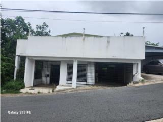 Bo. Caimito Alto, carr 176