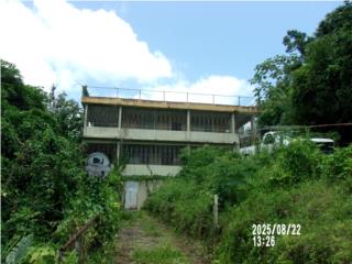Galeria