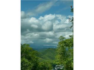 Land in Ponce - 10.85 cuerdas