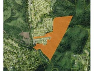 Pe�uelas Vacant Land @ Tallaboa Alta - For Sa