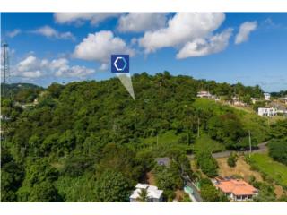 Trujillo Alto Vacant Land Parcels at Carra�zo