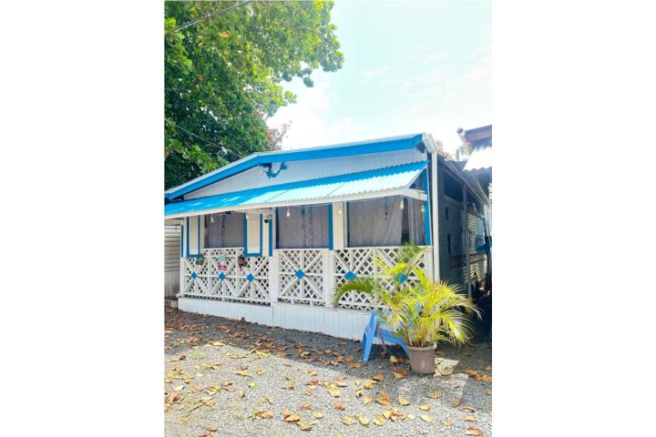 Corcega Puerto Rico Rincón