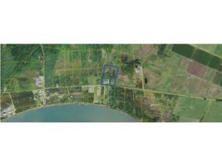 2 Contiguous Lots -11 Cuerdas @ Juana Diaz