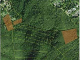 Ponce Agricultural 18.36 Acre Land @ Canas
