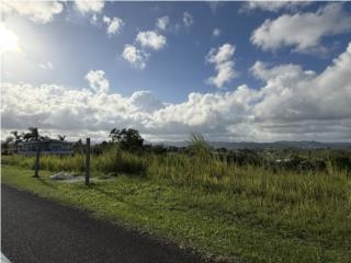 Carr. 14 Km 51.8 Sector La Pangola 