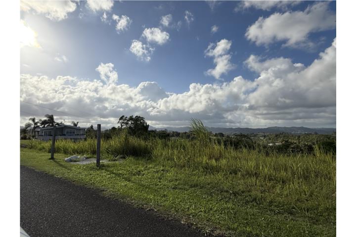 Robles Puerto Rico Aibonito