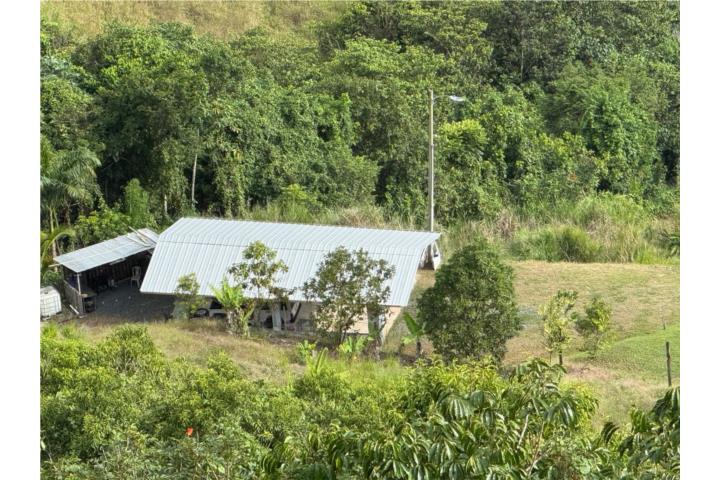 10 Fotos