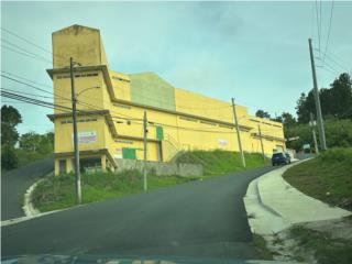 EDIFICIO YA GENERA $5K DE RENTA OROCOVIS, Bajo