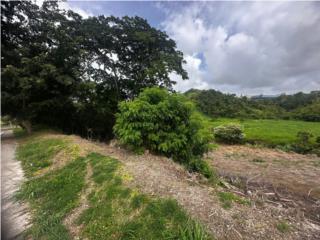 �FINCAS EN VENTA-OROCOVIS-PR!