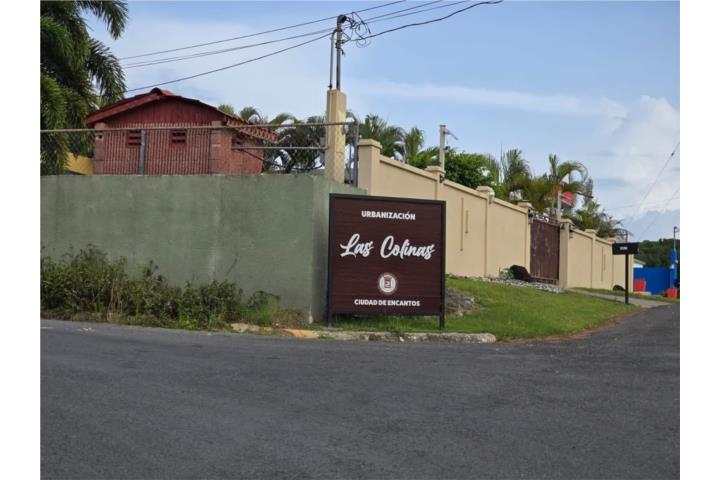 Camaseyes Puerto Rico Aguadilla