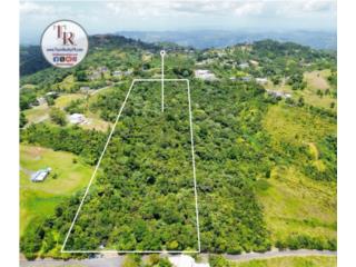 �Impresionante FINCA de 8 cuerdas (31,443 m2)!