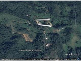 ?? Mega Industrial Farm For Sale � Arecibo