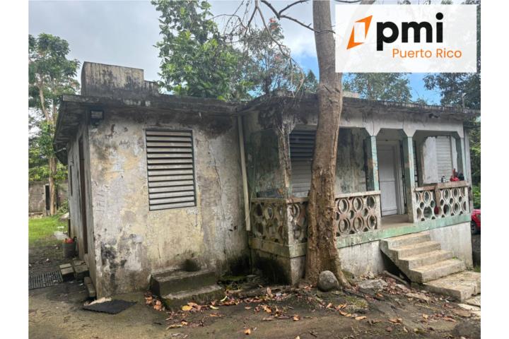 Jimenez Puerto Rico Río Grande