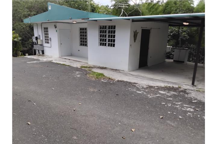 Caonillas Puerto Rico Aibonito