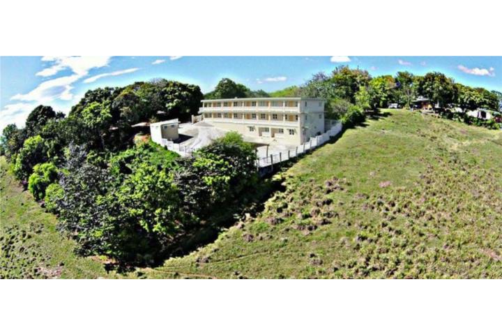 Las Lilas Court Apt Buliding, 311 Cabo Rojo