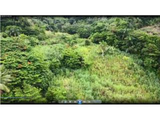 Finca 32 cds Apox buena localizaci�n