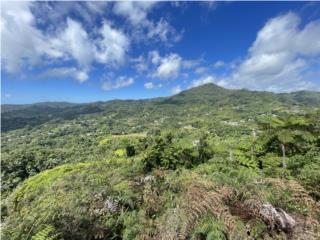 Real Estate Bienes Raices Puerto Rico