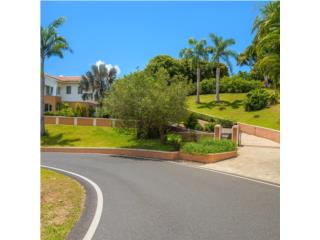 Bo Quebrada Grande  4-4 - OWNER FINANCE AVAILABLE!