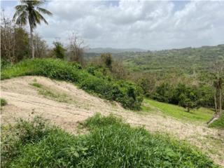 Finca, Barrio-Ceiba Sur en el coraz�n de Juncos
