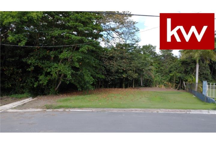 Carraizo Puerto Rico Trujillo Alto