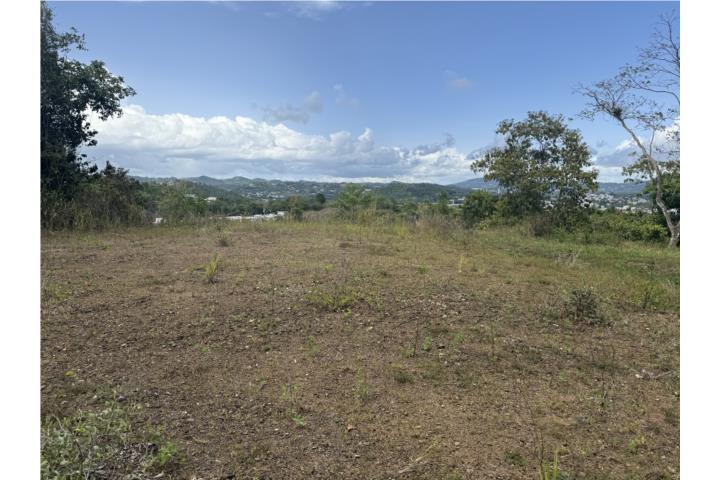 House in Colinas View, Cayey