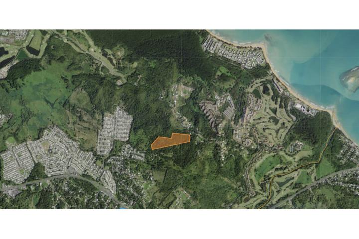 Rio Grande - El Zarzal - 25 cuerdas