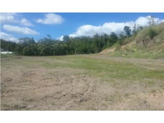 BARRANQUITAS 1 CD COMERCIAL FRANQUICIA