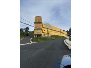 Bo Orocovis! Venta de Edificio