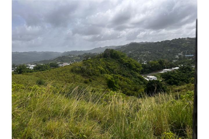 Farm in Orocovis, Orocovis