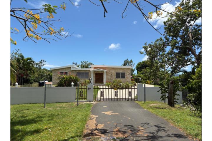 Aguacate Puerto Rico Yabucoa