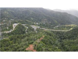 Real Estate Bienes Raices Puerto Rico