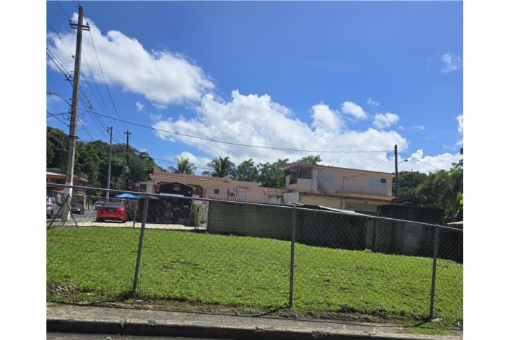 Balboa Puerto Rico Mayagüez