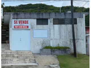 Galeria