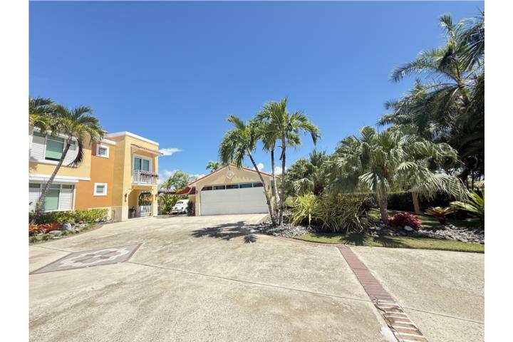 Flamboyan Humacao - Palmas