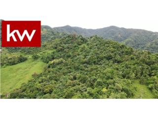 BO. SAN SALVADOR, TERRENO EN CAGUAS