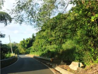 QUEBRADA INFIERNO; 5 CUERDAS CARR 181, GURABO