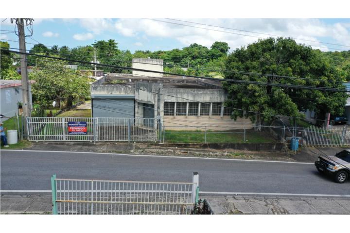 Quebrada Puerto Rico Camuy