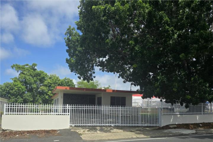 Mora Puerto Rico Isabela