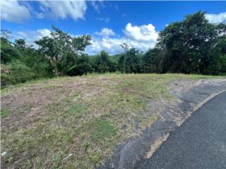 Terreno en Venta � Bo. Cuchillas, Corozal