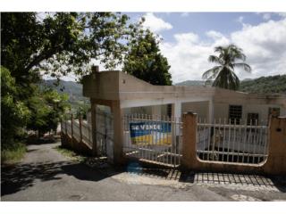Bo. Quebrada Negrito