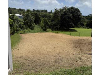 Bo. Tejas, Yabucoa